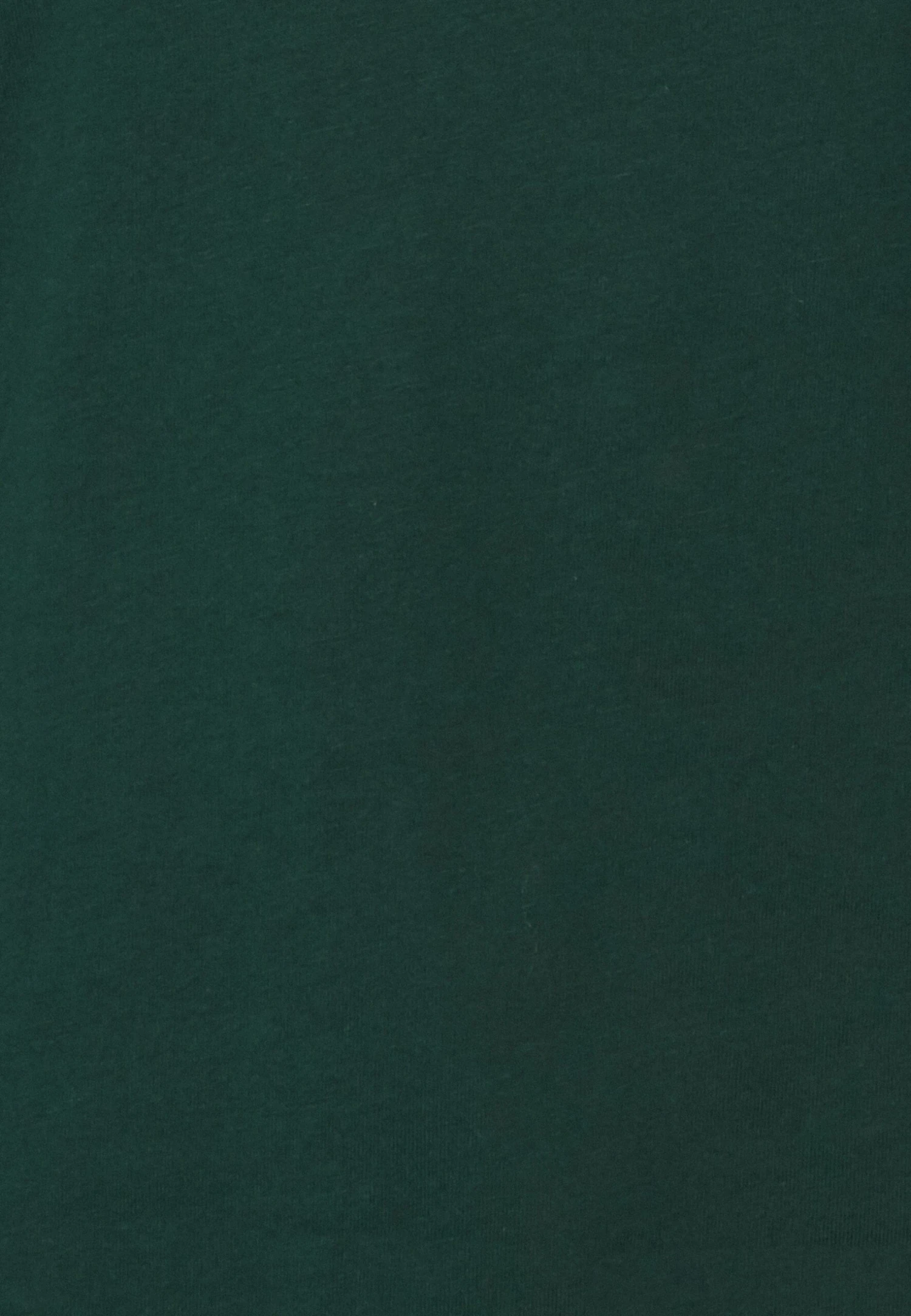 Anna Field T-Shirt À Manches Longues - Dark Green 5 Anna Field T-Shirt À Manches Longues - Dark Green – Image 5